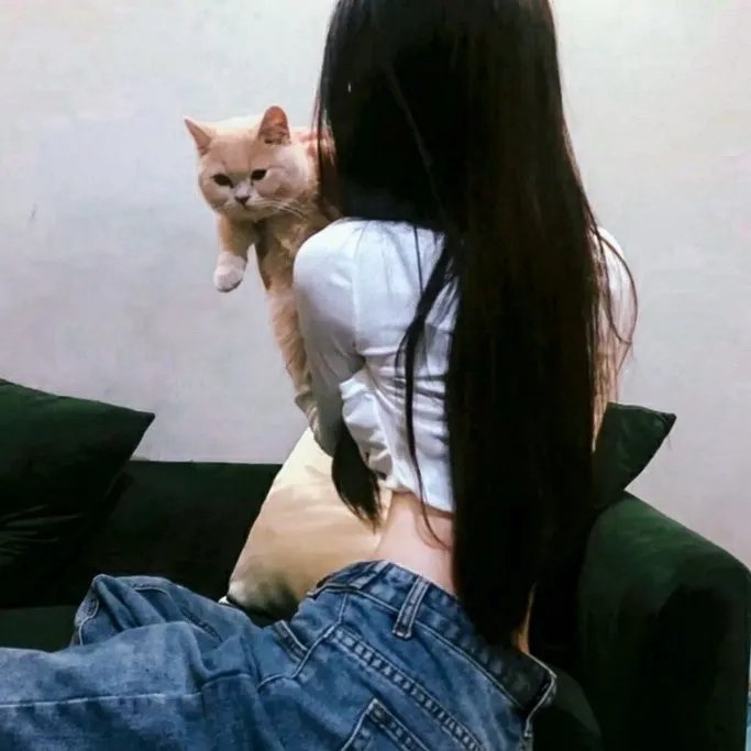 让我们堂堂正正结婚吧